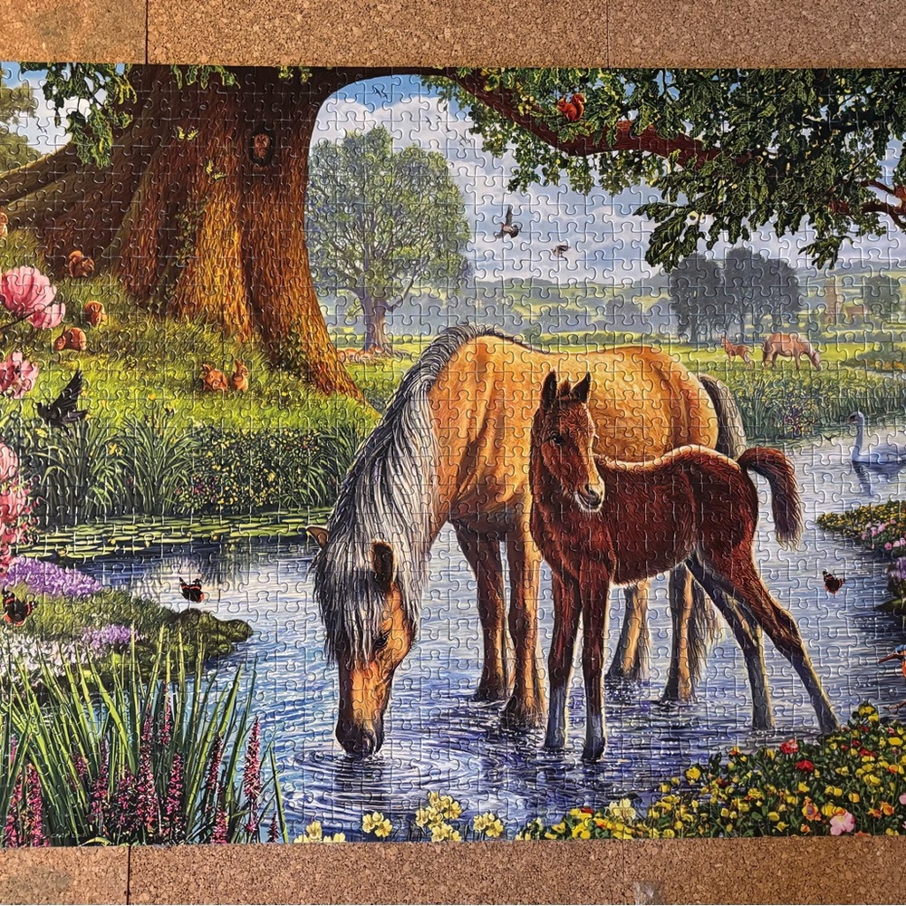 Eurographics 1000 piece puzzles. Fell Ponies